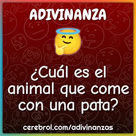 cual es el animal que come con las patas adivinanza